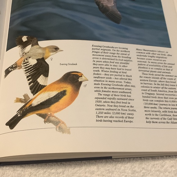 Atlas Of Bird Migration book - Picture 5 of 6